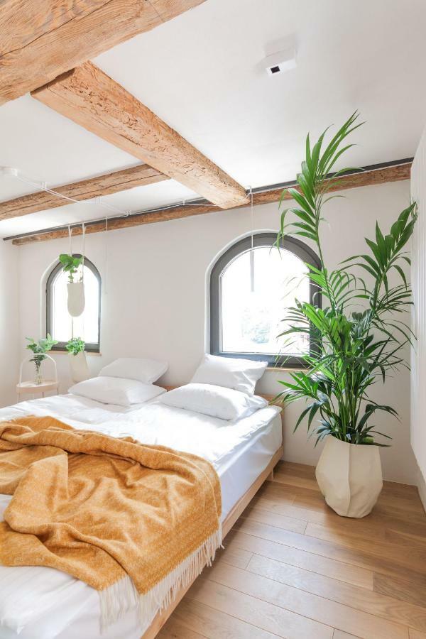 Apartamenty Monka Stary Toruń Eksteriør bilde